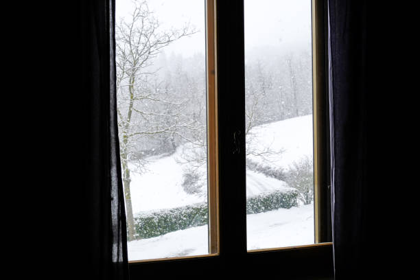 istock Window view with blue curtains across winter mountains, trees and gray sky. 1297592331