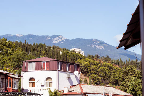 istock Summer house in the forest and mountain view. Landscape background 1297593091