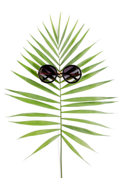 istock Tropical hipster leaf in sunglasses on white background. Flat laying, top view 1297593980