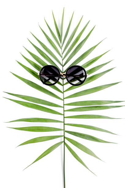 istock Tropical hipster leaf in sunglasses on white background. Flat laying, top view 1297594498