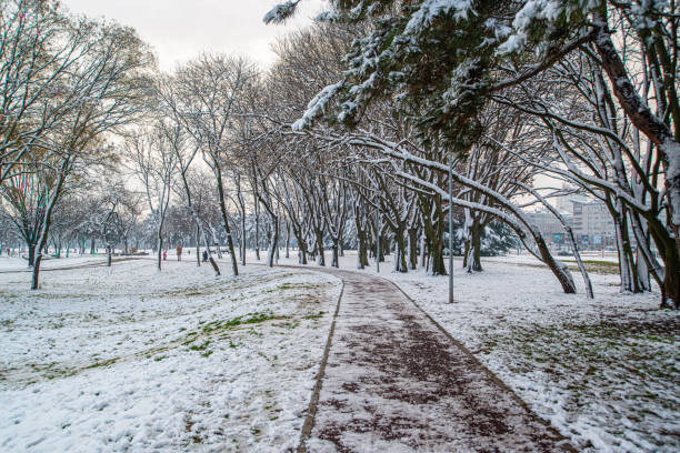 istock Bicycle road during the snowy and cold weather 1297596021