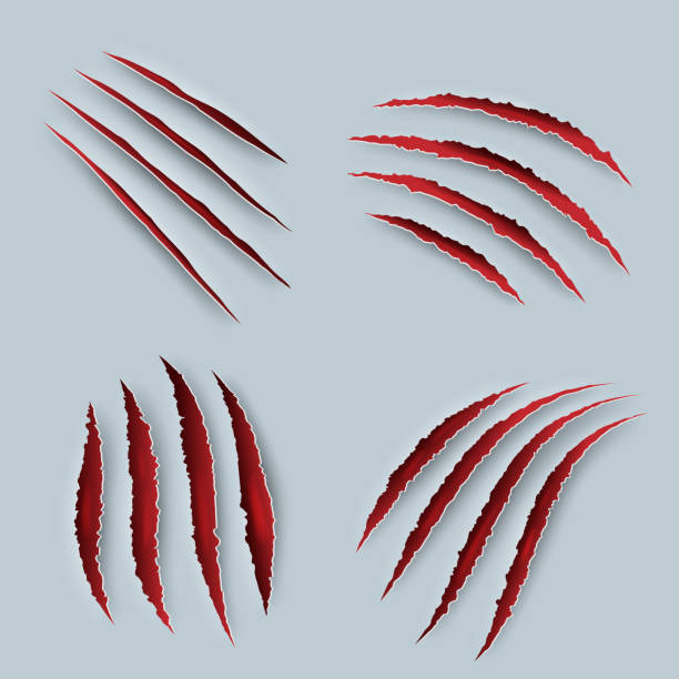 Claw. Scary scratches with blood tiger claws decent vector realistic templates Claw. Scary scratches with blood tiger claws decent vector realistic templates. Scratch injury from animals paw, slash laceration illustration claw scratch stock illustrations