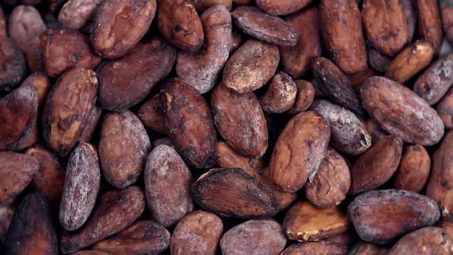 roasted cocoa beans for making drinks, chocolate and desserts
