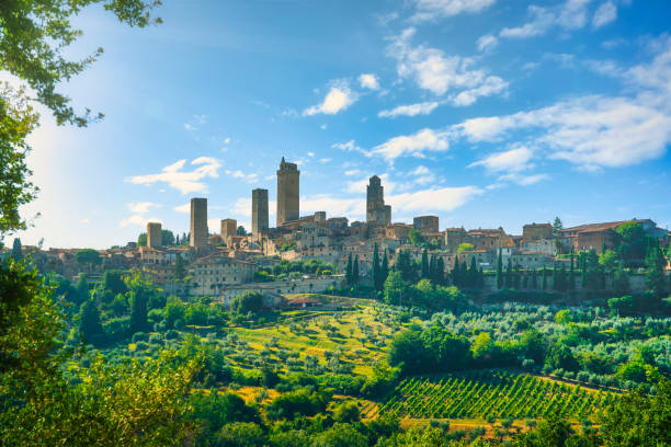 панорамный вид на виноградники кьянти и верначсия. сан-гиминьяно. тоскана, италия - tuscany italy tree cypress tree стоковые фото и изображения