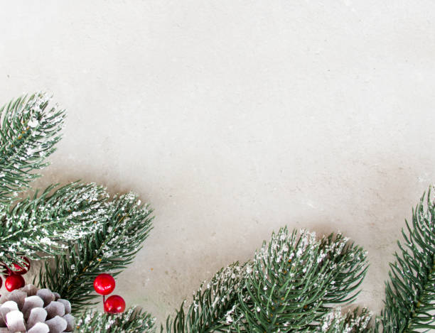 istock Fir branches on a gray background, Christmas layout, top view 1297603692