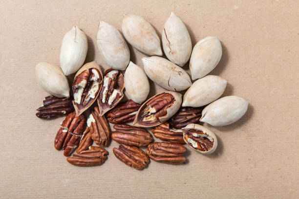 istock Carya illinoinensis nuts on a cardboard background. Peeled pecans, in the shell and without. 1297604194