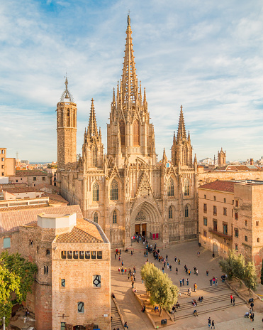 Picture of the Barcelona cathedral from an high angle point of view taked during sunset.