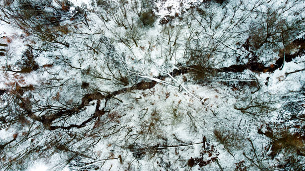 istock Wintery river scenery - aerial view 1297609292