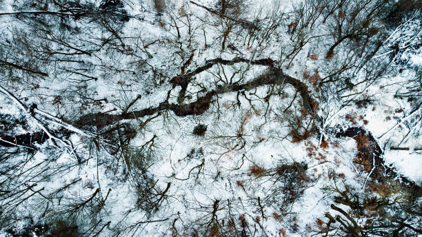 istock Wintery river scenery - aerial view 1297609334