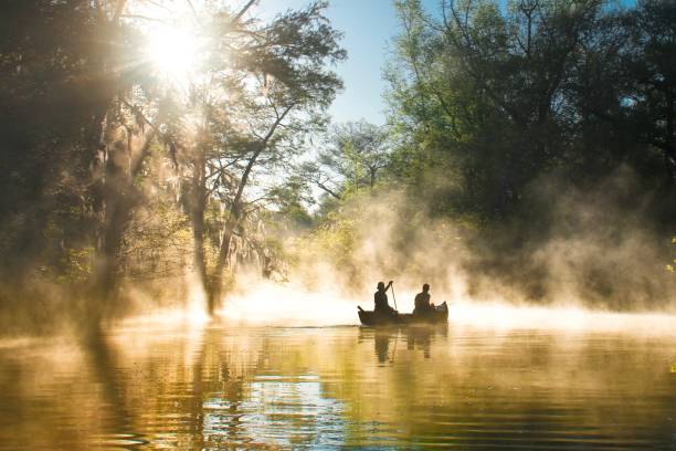 parco nazionale delle everglades ya - canoa nella nebbia - lake summer beach nautical vessel foto e immagini stock