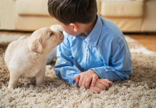 Mom with little girl sitting with friendly puppy pet, having fun, playing, sitting near house in yard. Pet care, animal life.