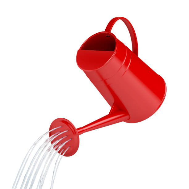 Water pours from a watering can Water pours from a watering can on white background watering pail stock pictures, royalty-free photos & images