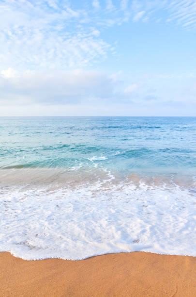 istock Peaceful seascape at sunset, summer vacations background. 1297616513