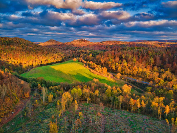Aerial view over a deciduous forest in autumn with the famous Wartburg.