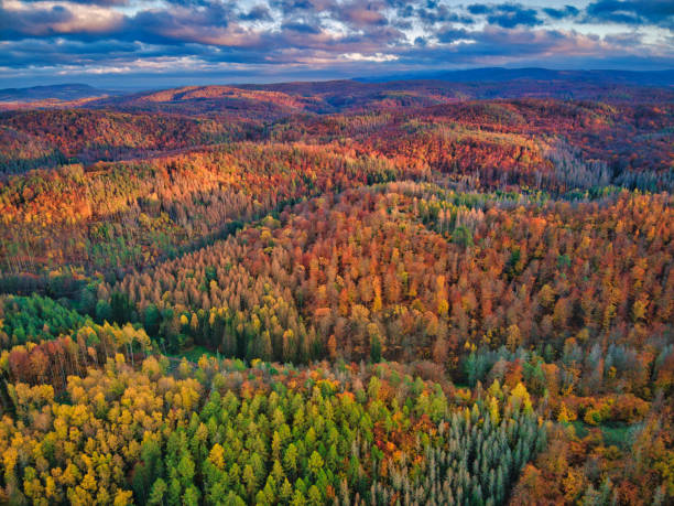 Aerial view over  Thuringia forest in autumn.