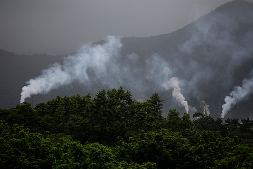 Chimneys and smoke on a forest landscape and dark day