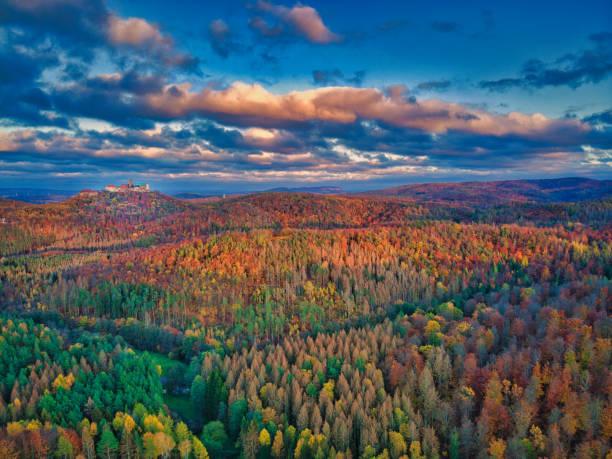Aerial view over a deciduous forest in autumn with the famous Wartburg.