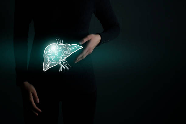 Illustration of liver detox with highlighted organ and contrast hands on dark background. Illustration of liver detox with highlighted organ and contrast hands on dark background. Low key photo with copy space toned in dark green colors. liver failure stock pictures, royalty-free photos & images