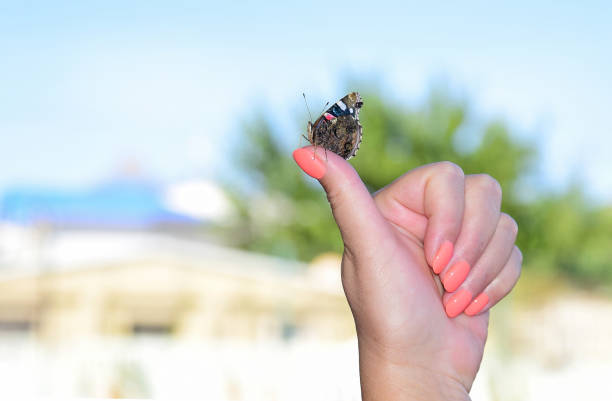 istock The butterfly on the finger hand 1297621770