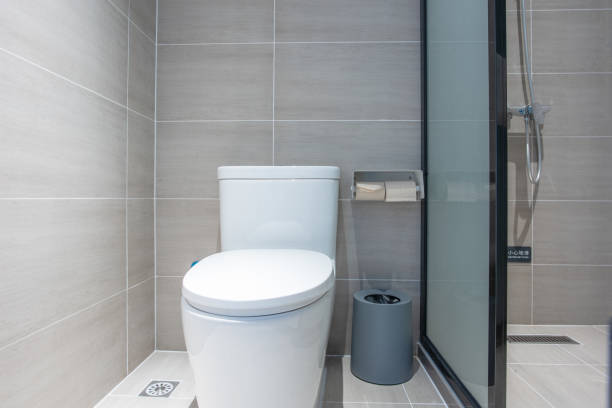 istock Clean and comfortable toilet appliances 1297624835