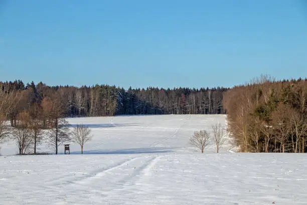 Snowlandscape in Germany with high seat for animal observation in the Ore Mountains