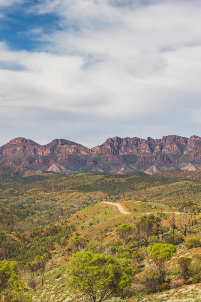 istock Landscape of Flinders Ranges National Park 1297626955