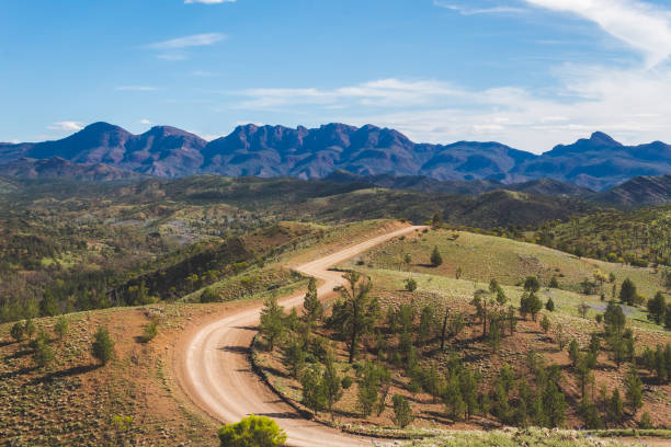 istock Landscape of Flinders Ranges National Park 1297627098