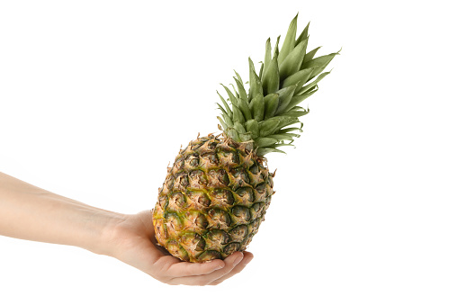 Female hand hold ripe pineapple, isolated on white background