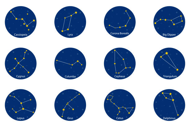 Constellations on blue round background, vector illustration Constellations on blue round background, vector illustration constellation delphinus stock illustrations