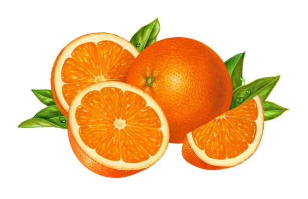 Oranges, Slices and Leaves vector art illustration