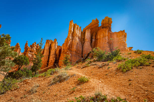 istock Bryce Canyon National Park 1297631881
