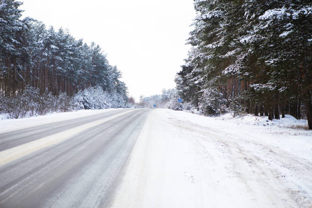 Free Stock Photo of Snow Covered Road Surrounded by Pine Trees ...