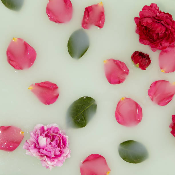 istock Bath with rose petal background. Flat lay with flower petal and green leaf. Abstract spa with milk and flower. Creative wellness layout 1297632038