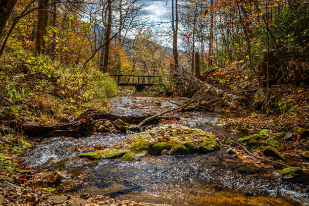 istock Fallingwater Creek Bridge on Flat Top Mountain 1297632557