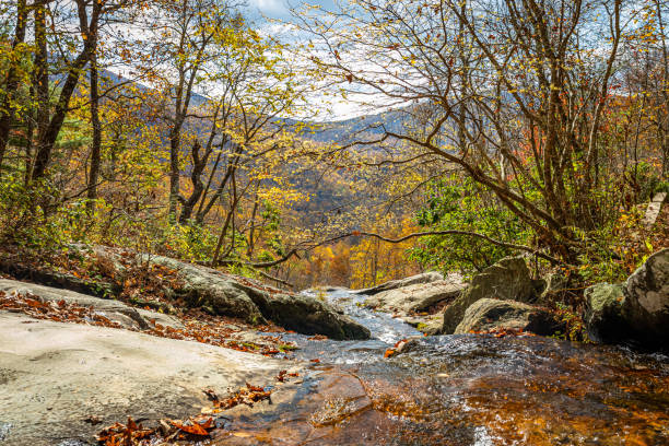 Top of Fallingwater Creek Falls on Flat Top Mountain