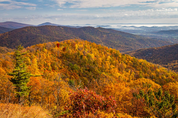 vista autunnale del parco nazionale dello shenandoah - blue ridge mountains appalachian mountains appalachian trail skyline drive foto e immagini stock