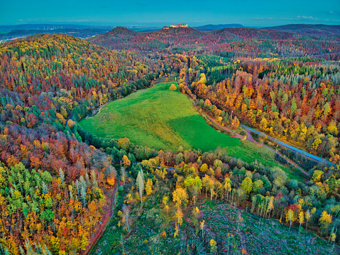 Aerial view over a deciduous forest in autumn in Wartburg.