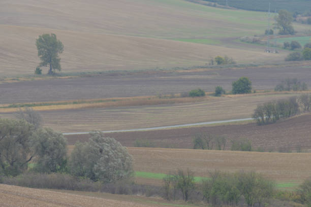 istock Autumn landscape of hilly fields in Moravia 1297635734