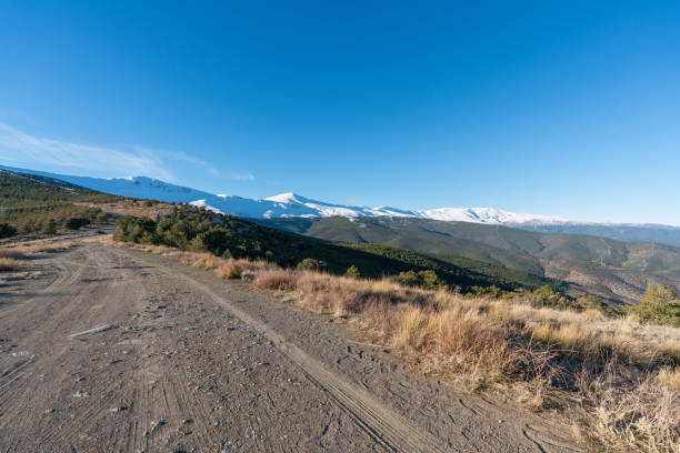 dirt road from Sierra Nevada in southern Spain, there is snow and pine forest, there are bushes and the sky is clear