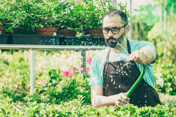 istock Focused Caucasian man watering plants in pots from hose 1297637177