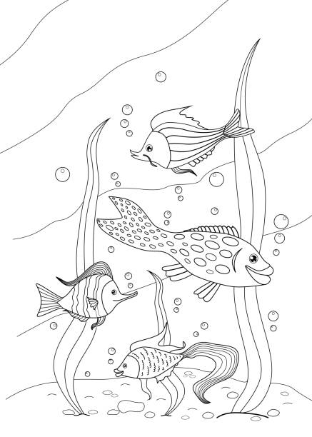 ilustraciones, imágenes clip art, dibujos animados e iconos de stock de cuatro lindos peces de dibujos animados en el océano. para colorear libro. ilustración vectorial. - goldfish fish swimming four animals