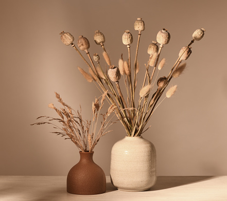 Vases with dried plants in brown tones