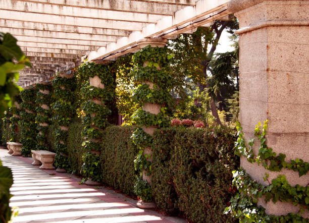 istock Passage of stone columns with vines in a park or garden. 1297640205
