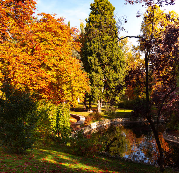 istock Park in autumn. Trees with golden colors and stream. 1297640253
