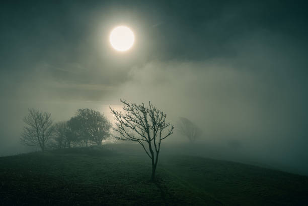 Sea Fog at Ventnor, Isle of Wight