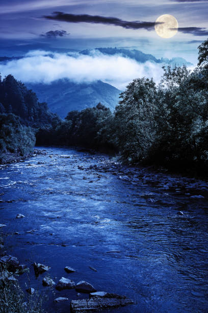 mountain river landscape in summer. wonderful nature scenery on foggy night. clouds rolling over the distant hill in full moon light. trees along the stream in the valley. weather with blue sky