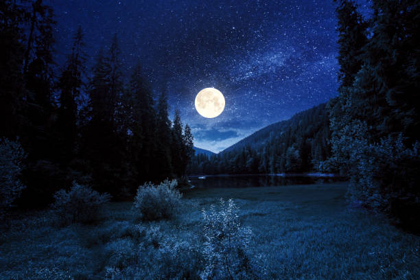bergssjölandskap på sommaren på natten - moon forest bildbanksfoton och bilder