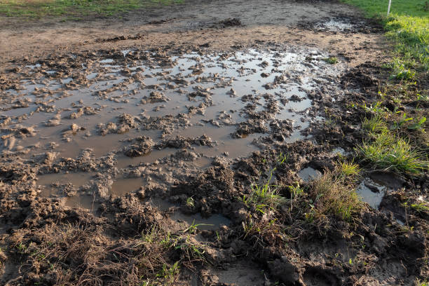 istock Dirt road after spring rain, close up 1297644380