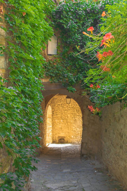 istock Archway in Montefioralle, Tuscany 1297648765