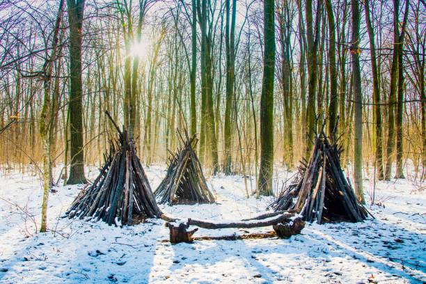 istock Magic forest during  winter with falling snow sunny day. Snow forest snowfall. Christmas Winter New Year background magnificent scenery.